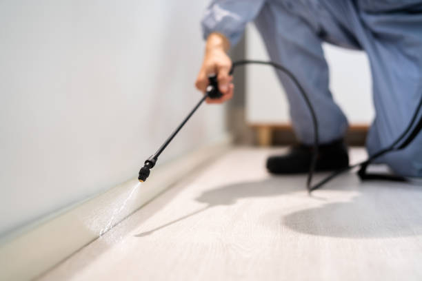 Licensed Pest Control service in Plainfield, IN - Show Me Pest Control