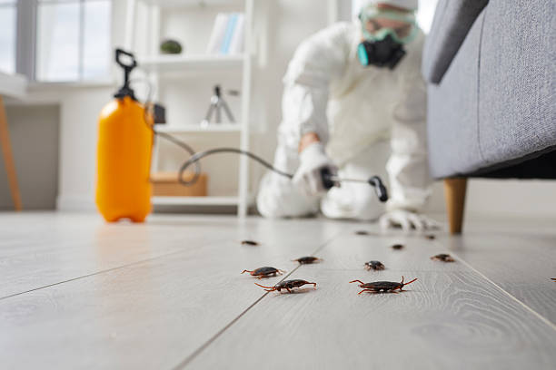 Post-Treatment Bed Bug Interceptor Monitoring in Plainfield