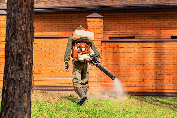 Bed Bug Clearance Verification and Documentation in Plainfield
